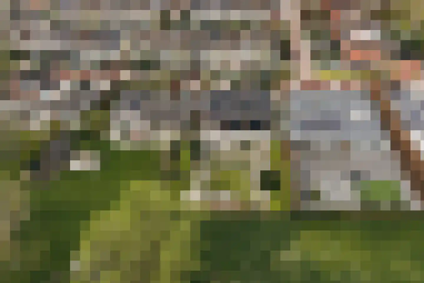 de Gouwe 29 Landsmeer thumbnail 109