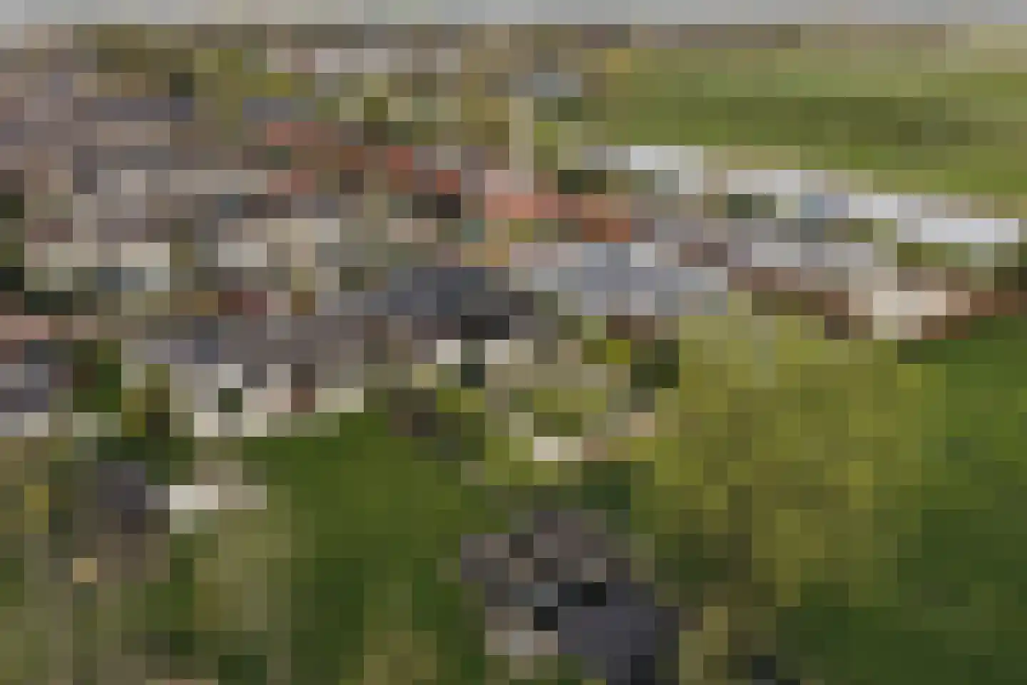 de Gouwe 29 Landsmeer thumbnail 110