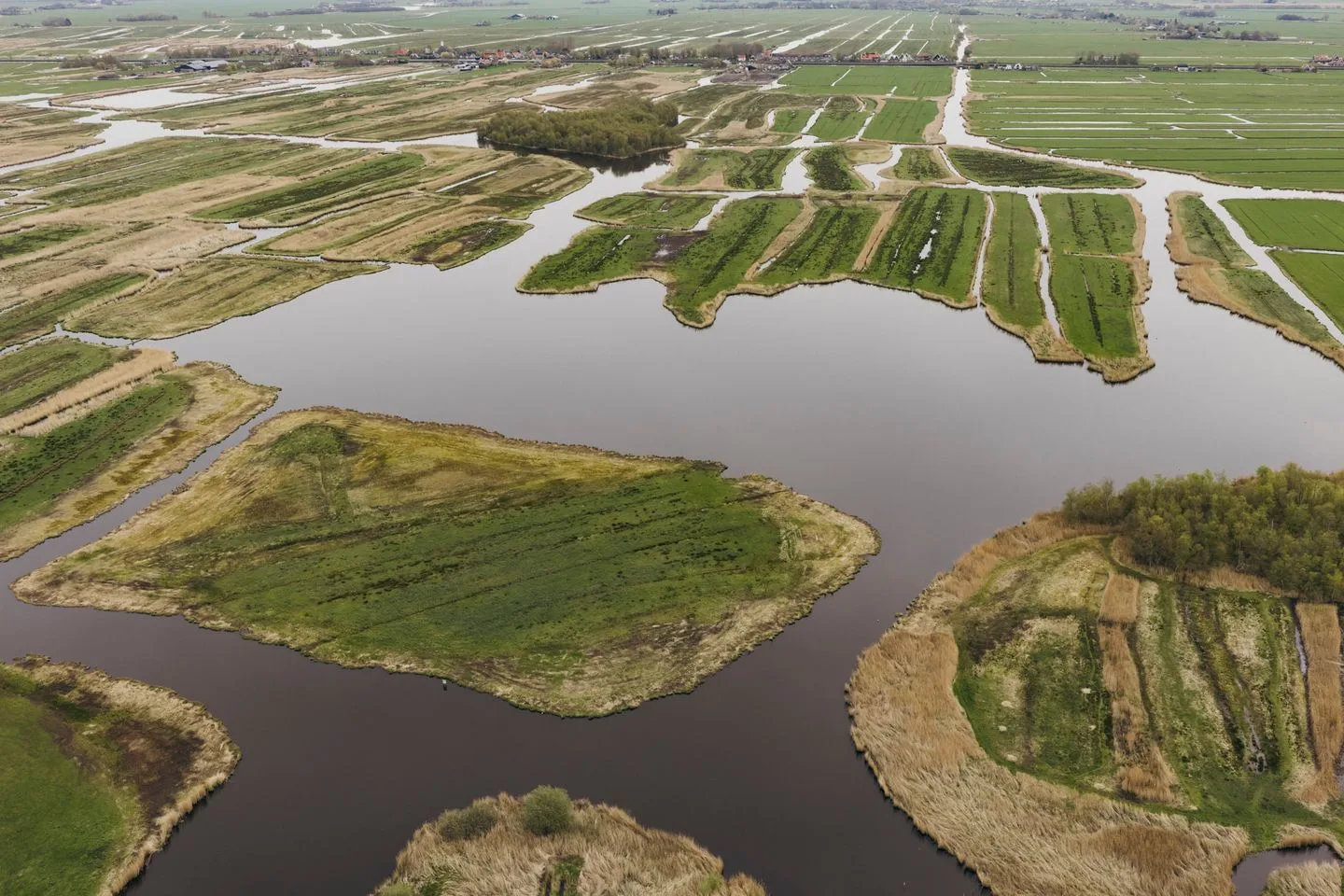 de Gouwe 29 Landsmeer thumbnail 111