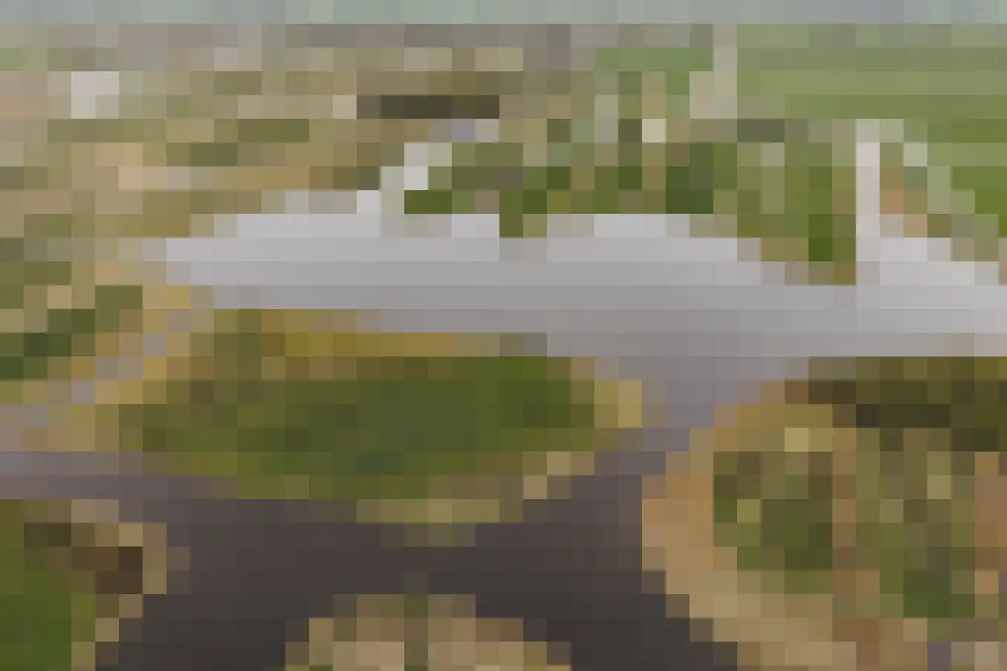 de Gouwe 29 Landsmeer thumbnail 111
