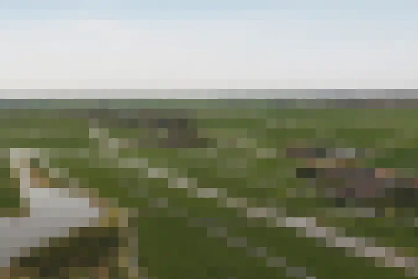 de Gouwe 29 Landsmeer thumbnail 112