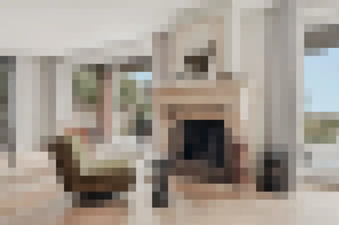 de Gouwe 29 Landsmeer thumbnail 12