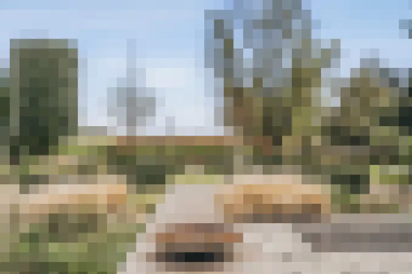 de Gouwe 29 Landsmeer thumbnail 16