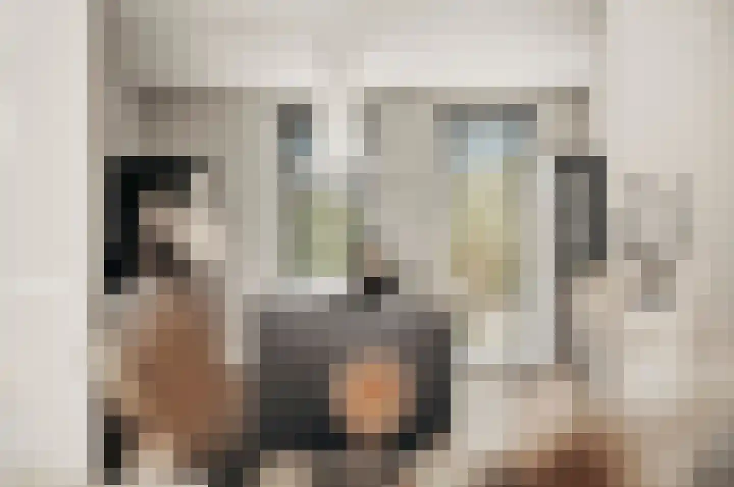 de Gouwe 29 Landsmeer thumbnail 26