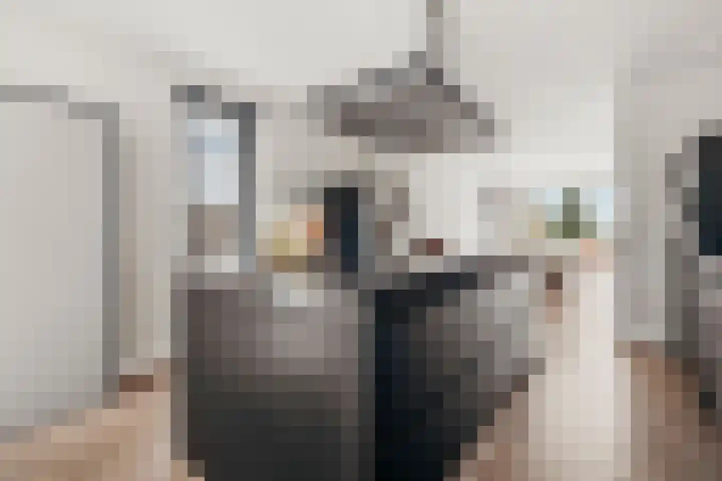 de Gouwe 29 Landsmeer thumbnail 32