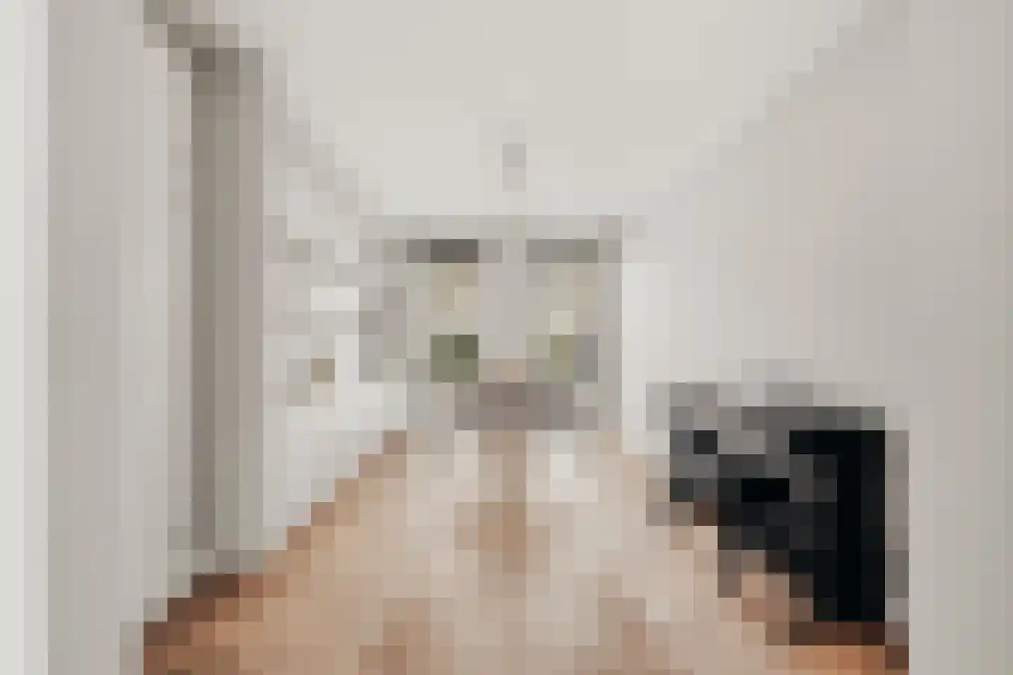 de Gouwe 29 Landsmeer thumbnail 36