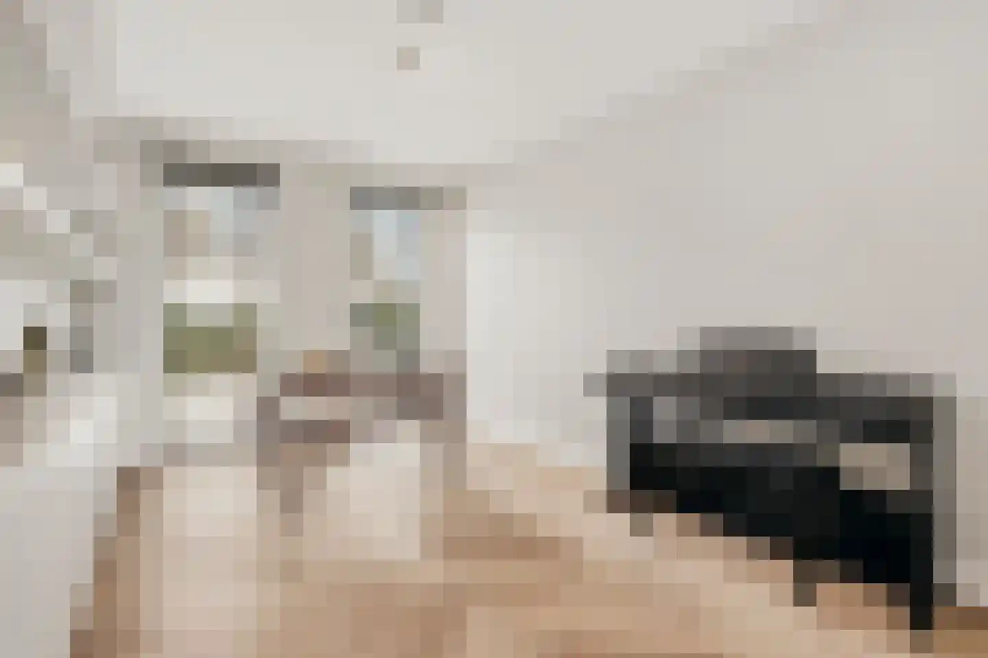 de Gouwe 29 Landsmeer thumbnail 37