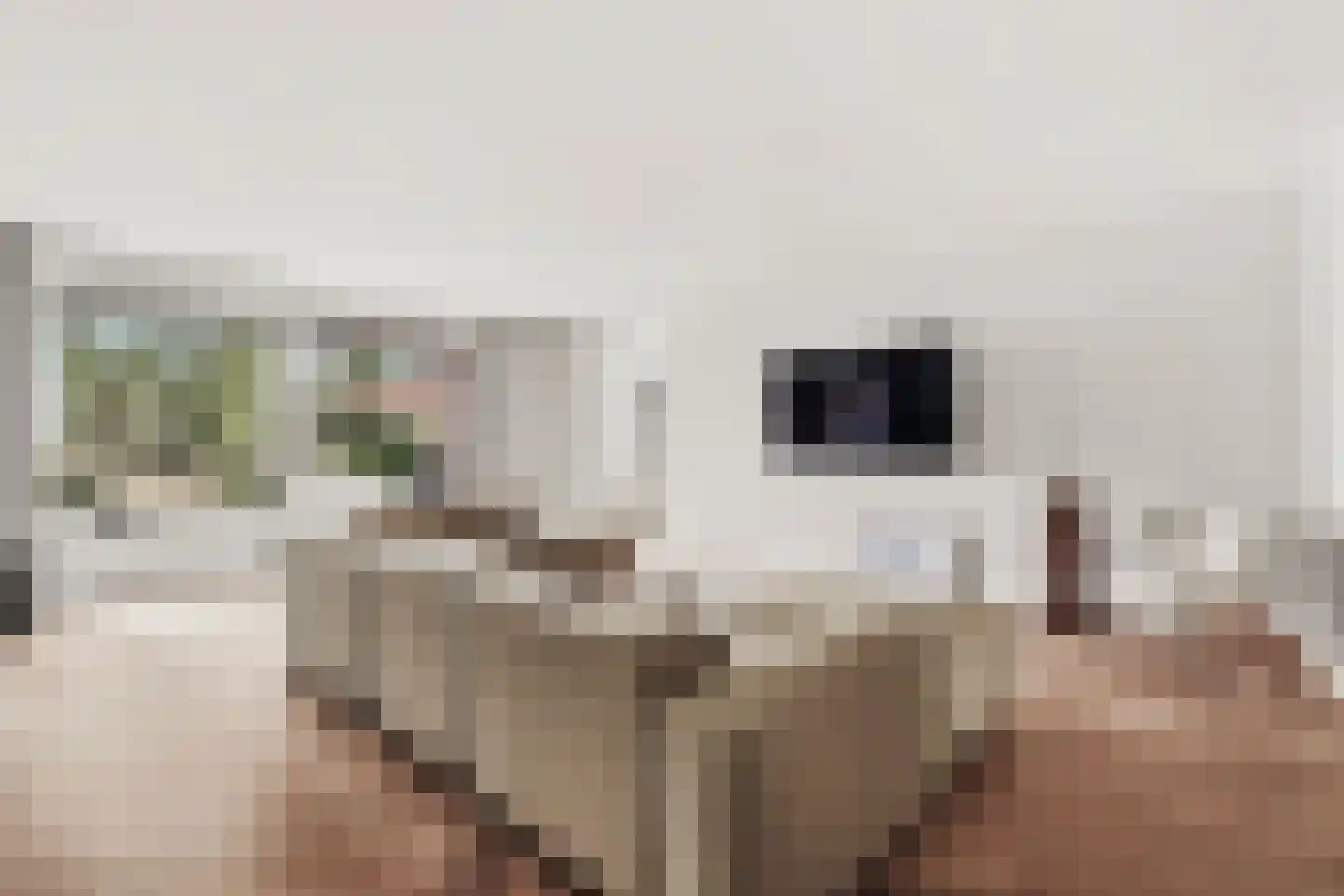 de Gouwe 29 Landsmeer thumbnail 4