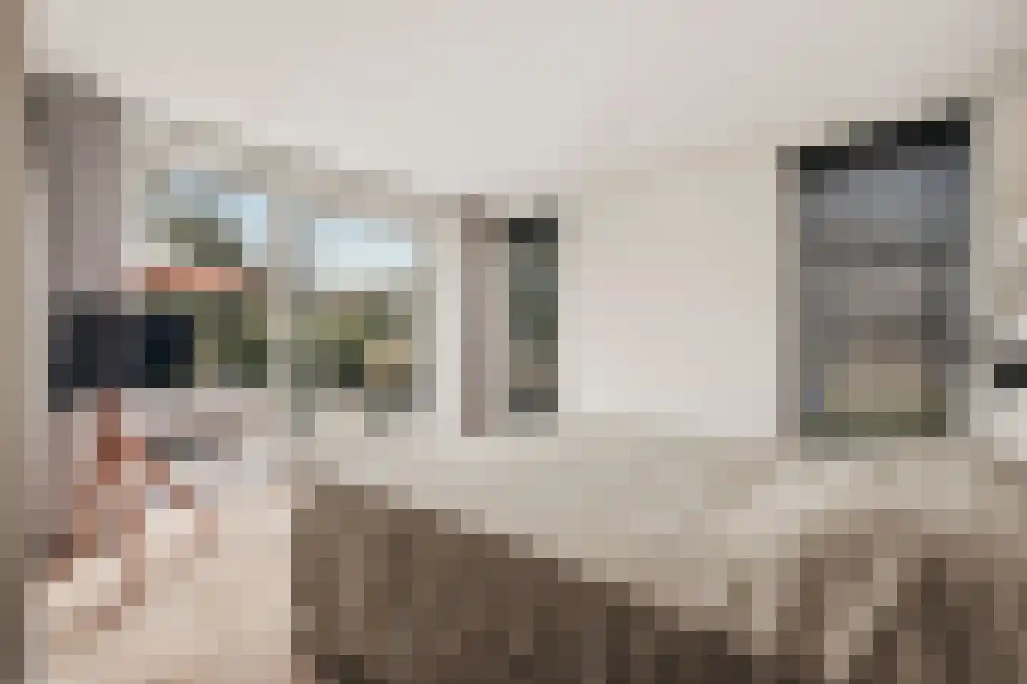 de Gouwe 29 Landsmeer thumbnail 43
