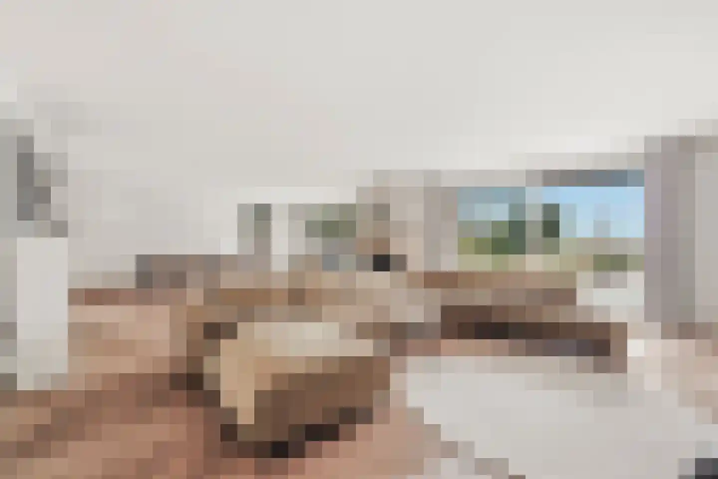 de Gouwe 29 Landsmeer thumbnail 5