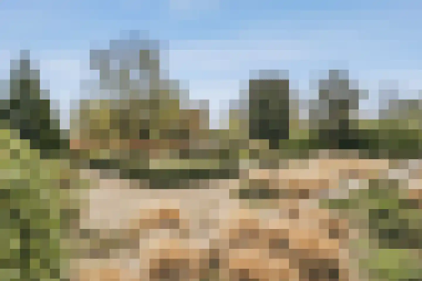 de Gouwe 29 Landsmeer thumbnail 50