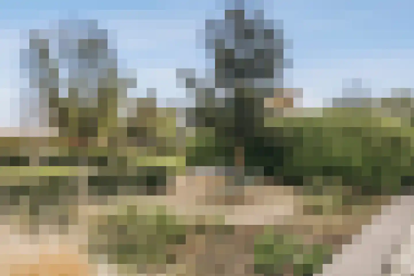 de Gouwe 29 Landsmeer thumbnail 51