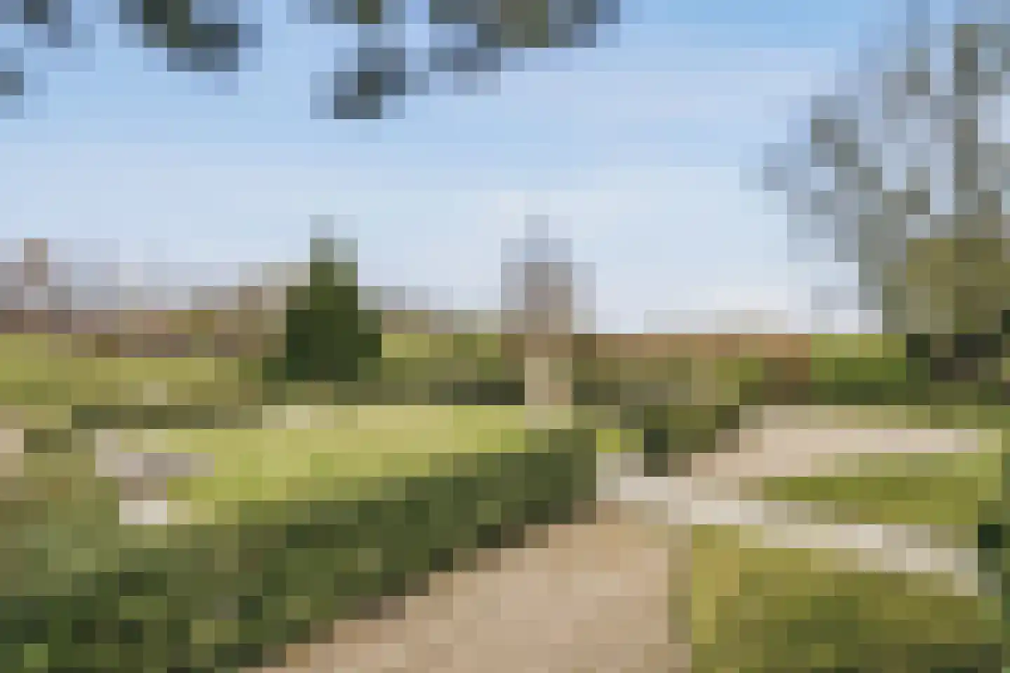 de Gouwe 29 Landsmeer thumbnail 53