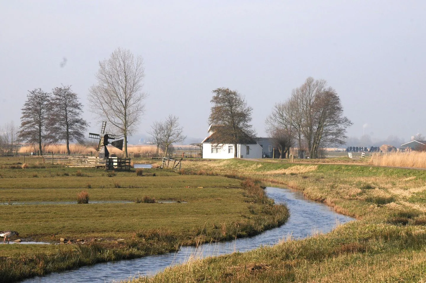 de Gouwe 29 Landsmeer thumbnail 56