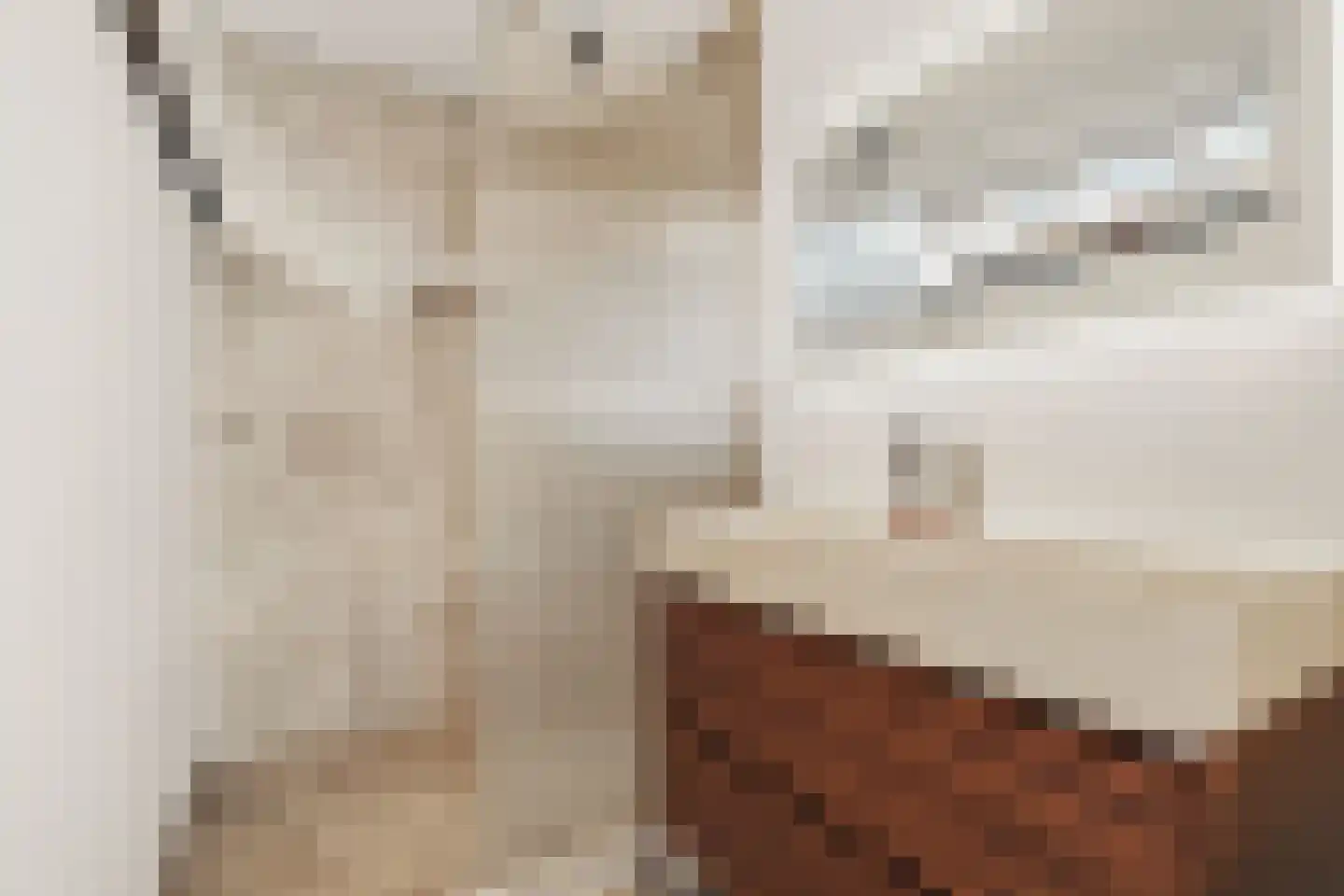 de Gouwe 29 Landsmeer thumbnail 59