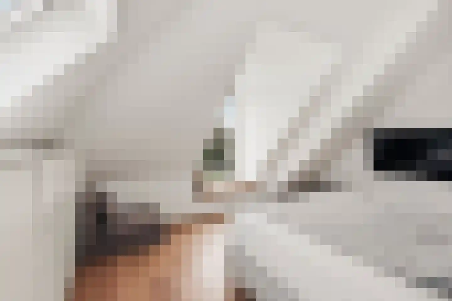 de Gouwe 29 Landsmeer thumbnail 69