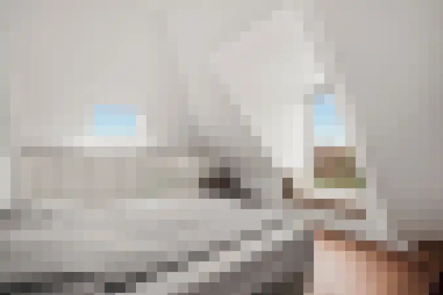 de Gouwe 29 Landsmeer thumbnail 72