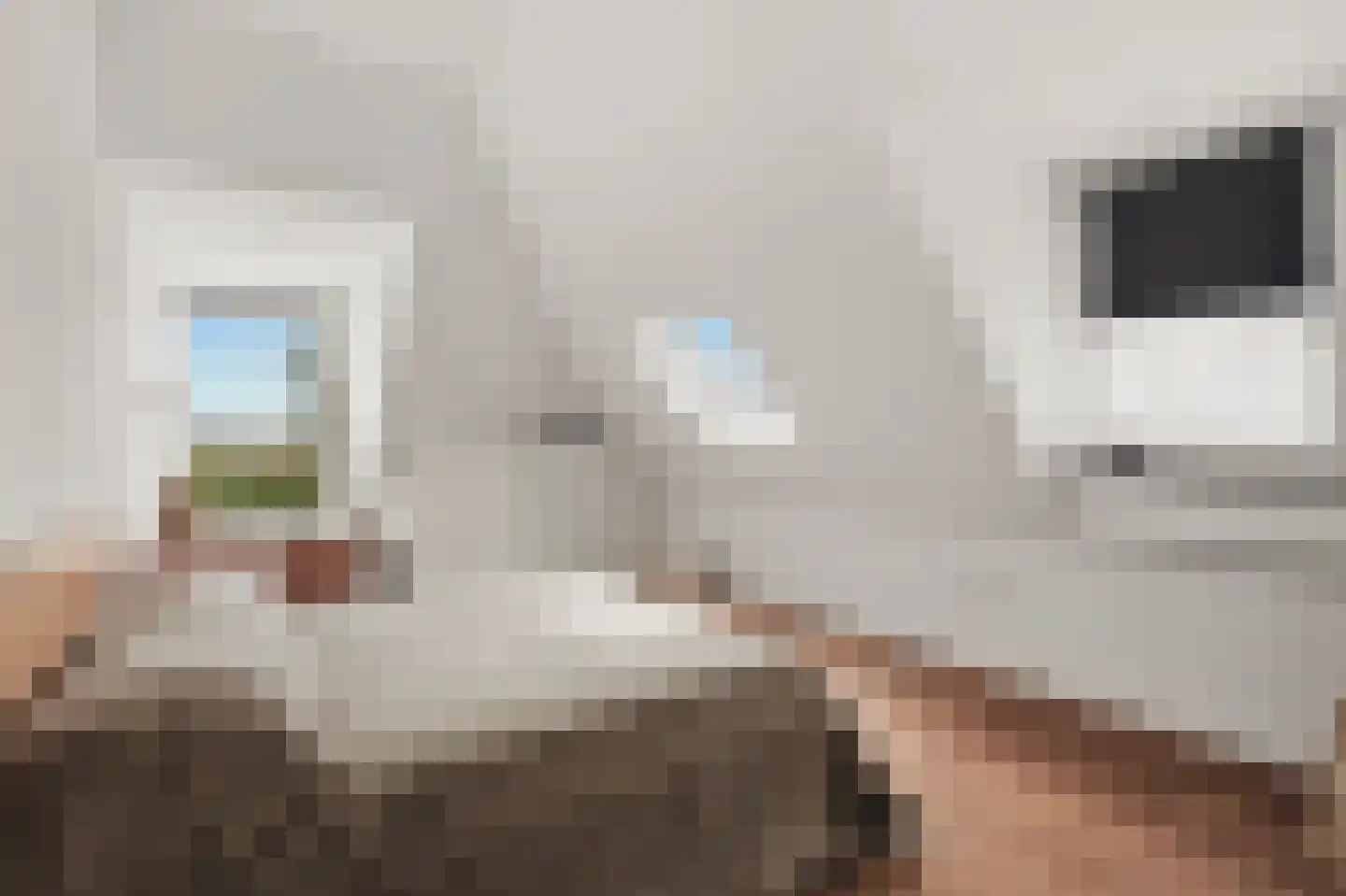 de Gouwe 29 Landsmeer thumbnail 81