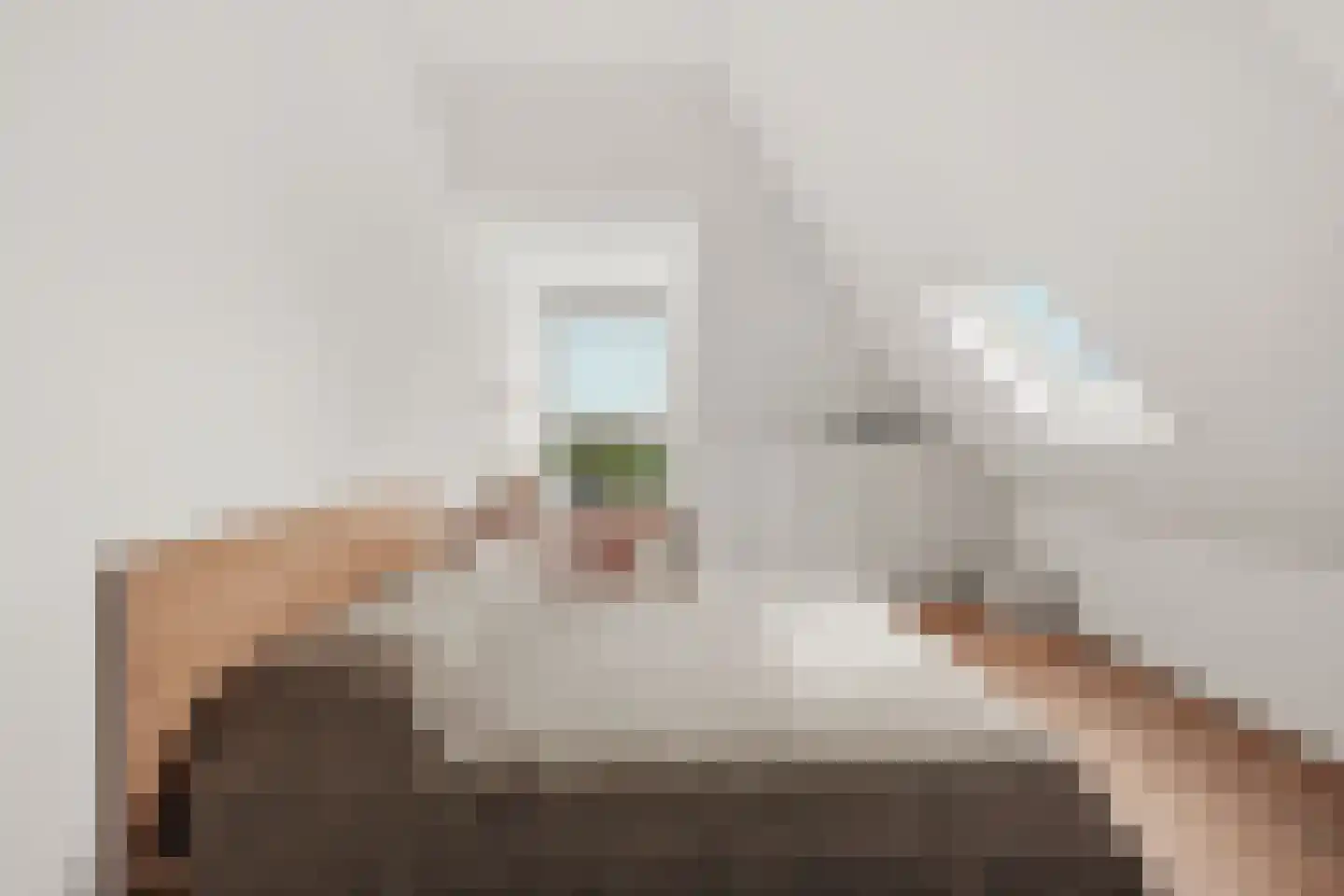 de Gouwe 29 Landsmeer thumbnail 82