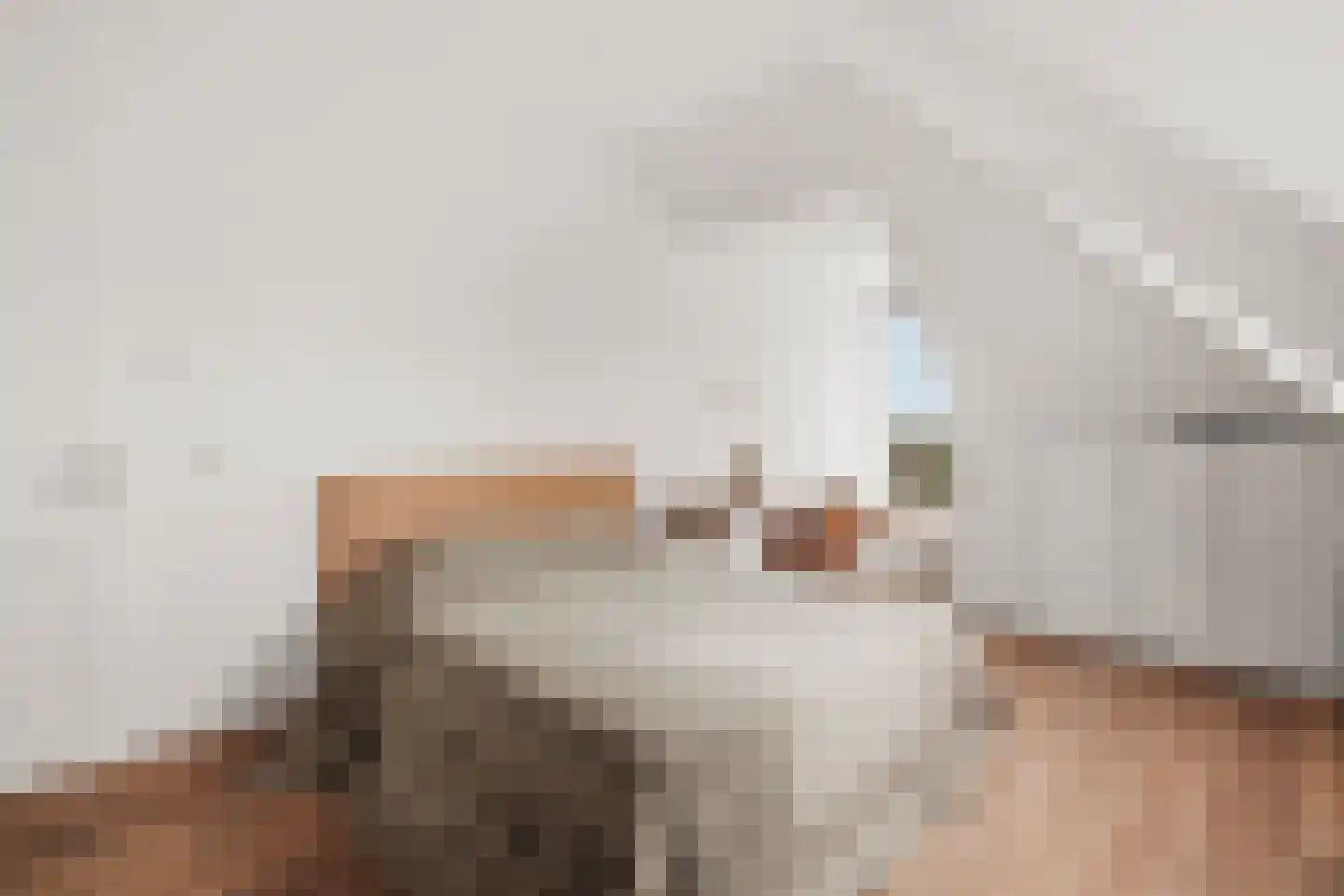 de Gouwe 29 Landsmeer thumbnail 83