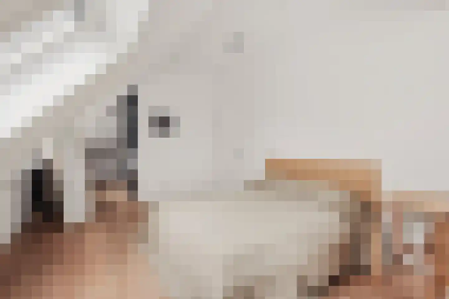 de Gouwe 29 Landsmeer thumbnail 85