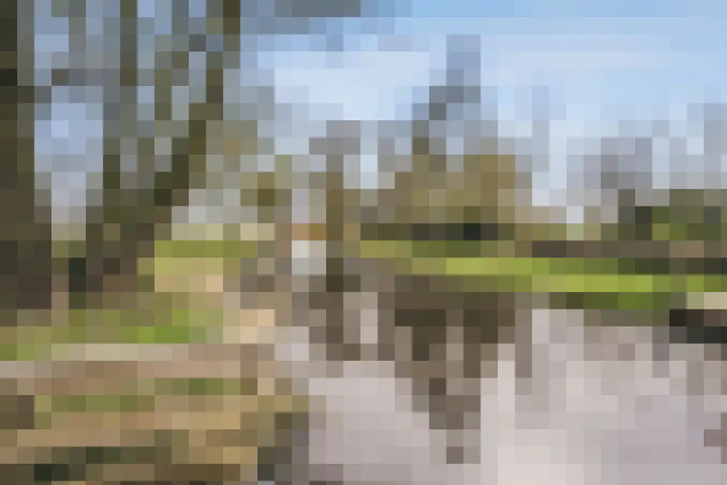 de Gouwe 29 Landsmeer thumbnail 97