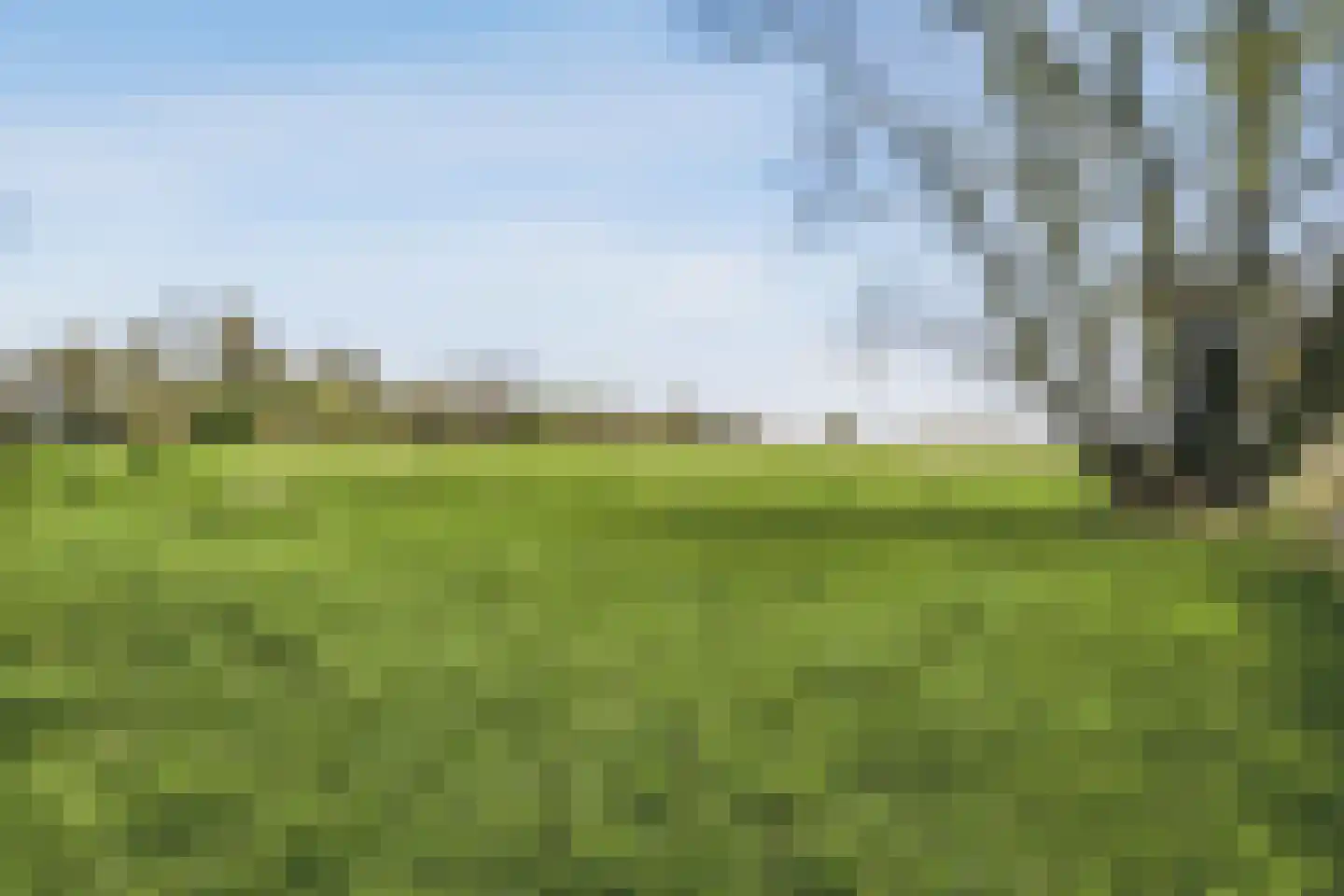 de Gouwe 29 Landsmeer thumbnail 99