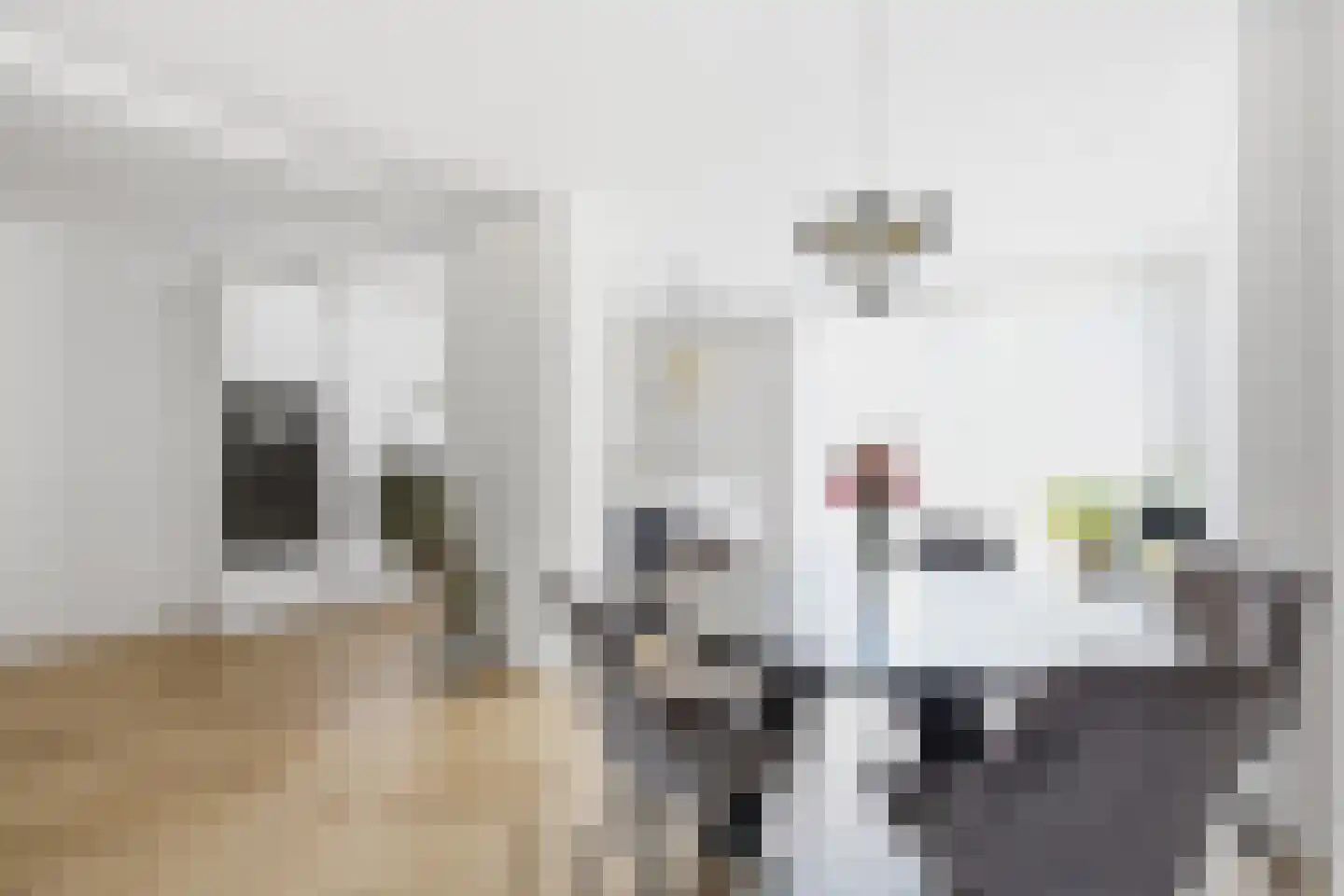 de Gouwe 4 Landsmeer thumbnail 10