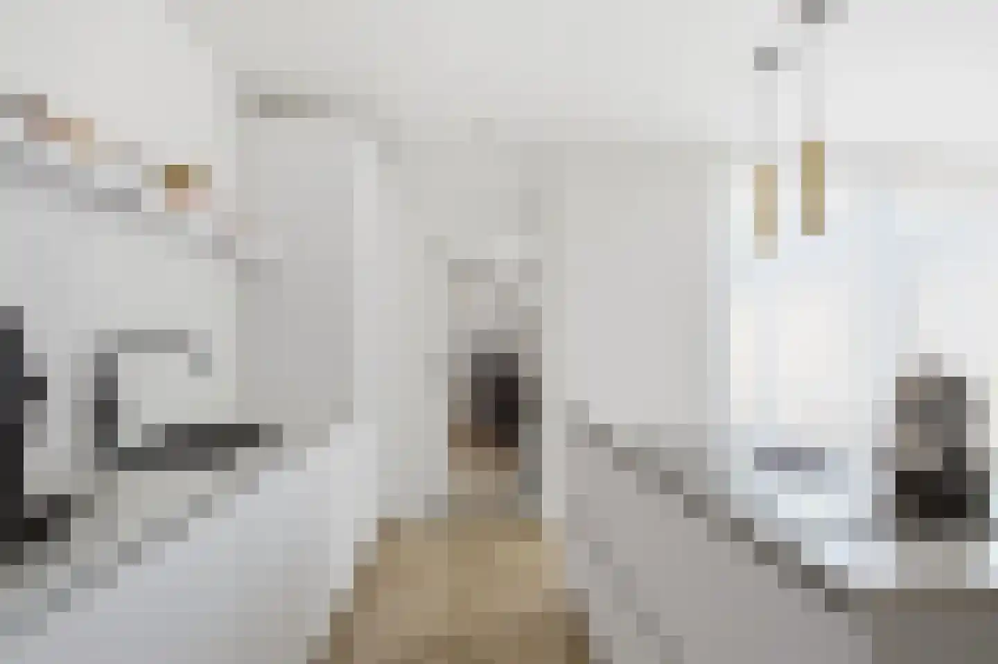 de Gouwe 4 Landsmeer thumbnail 13