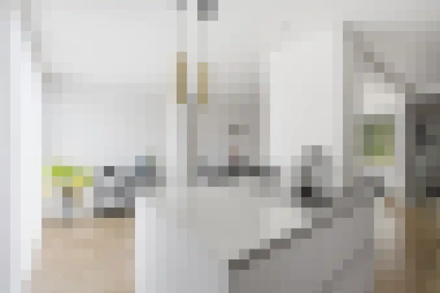 de Gouwe 4 Landsmeer thumbnail 15