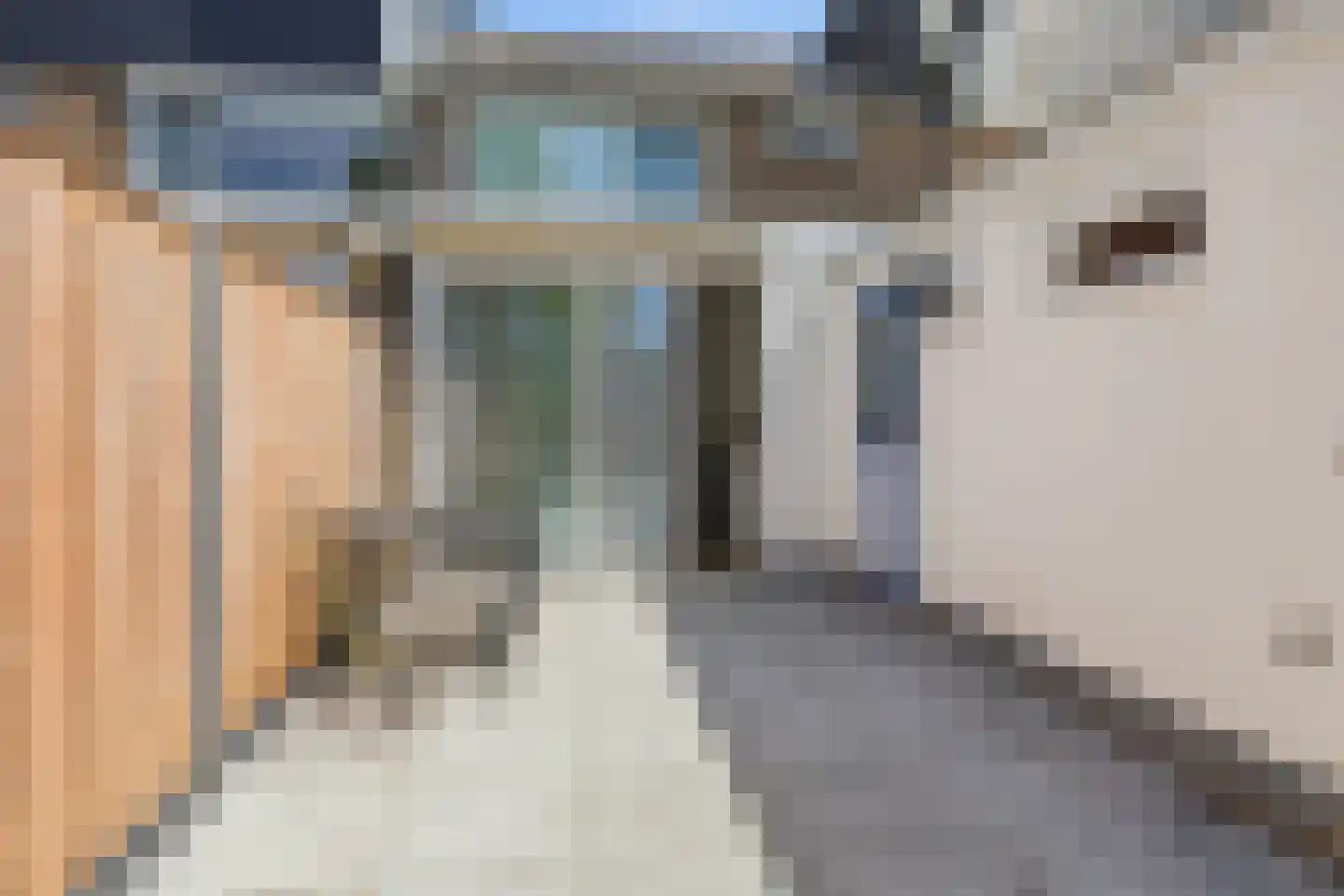 de Gouwe 4 Landsmeer thumbnail 41