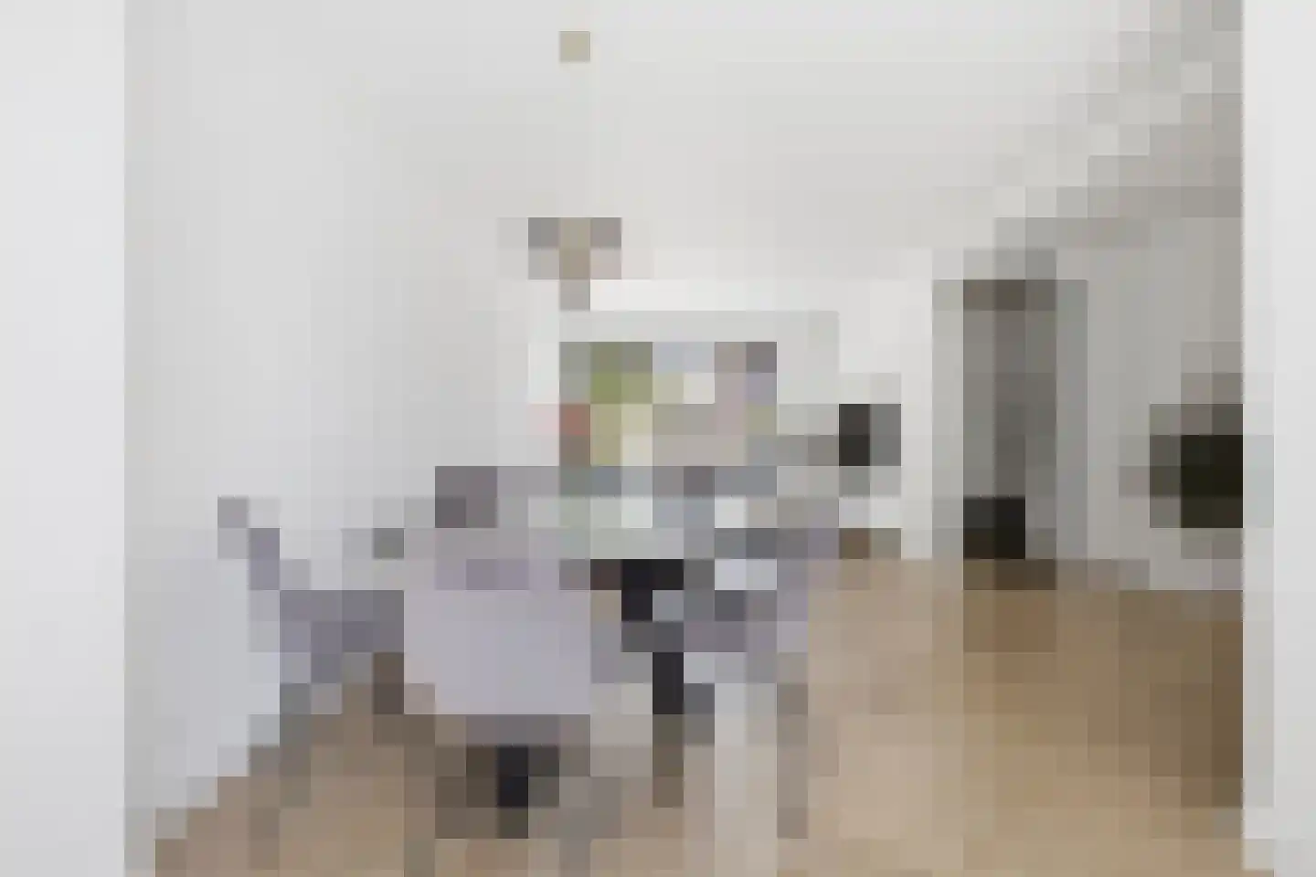 de Gouwe 4 Landsmeer thumbnail 5