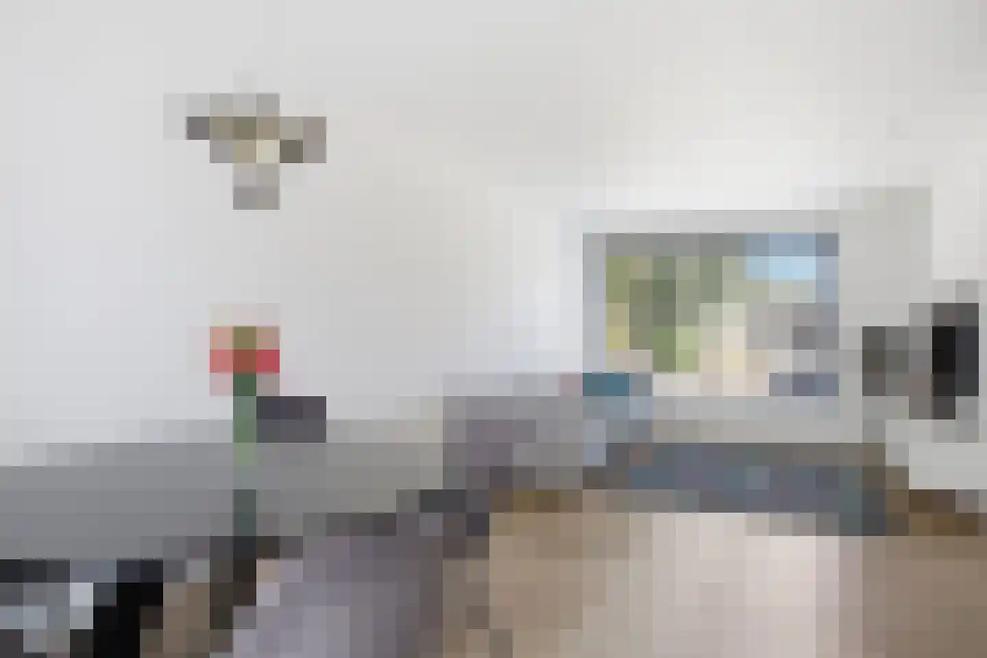 de Gouwe 4 Landsmeer thumbnail 6