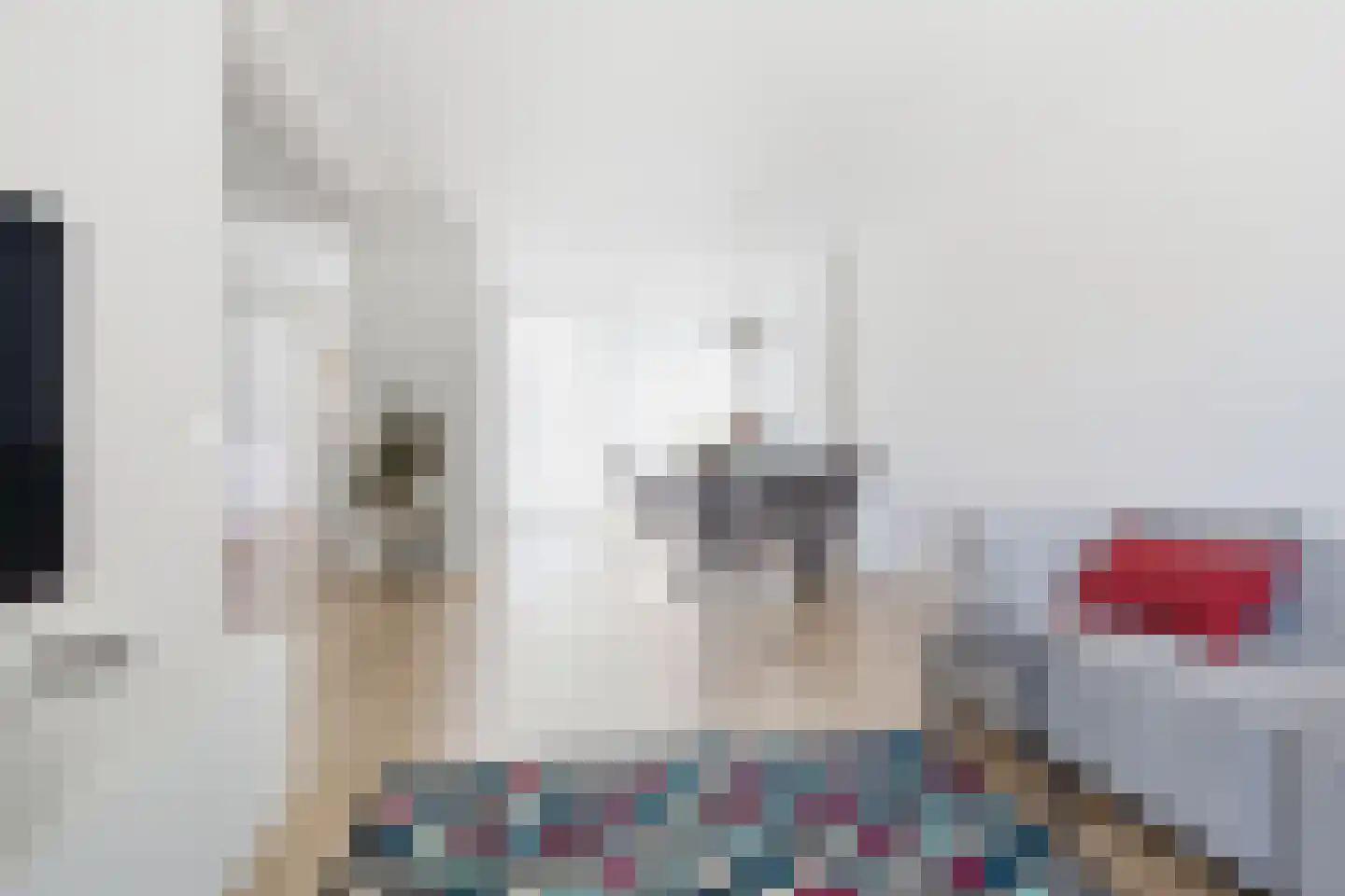 de Gouwe 4 Landsmeer thumbnail 8