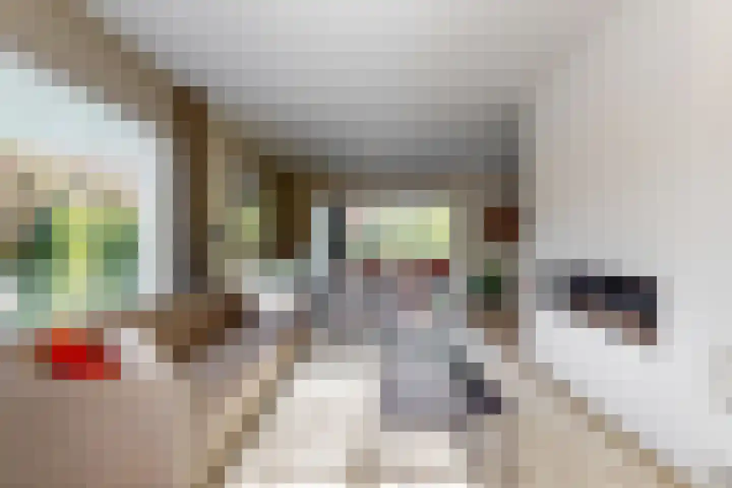de Gouwe 6 Woerden thumbnail 11