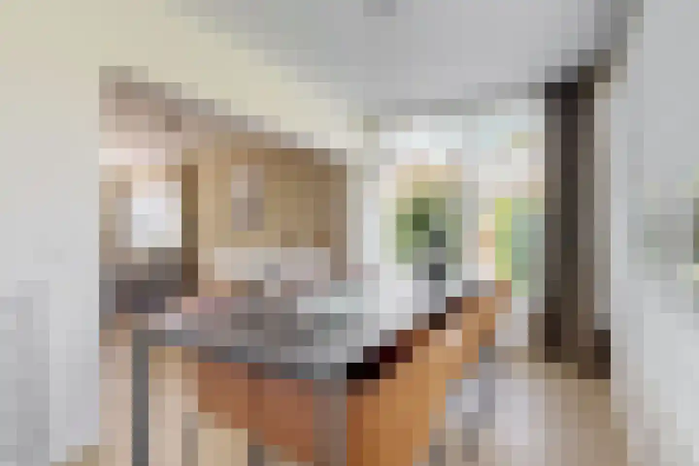 de Gouwe 6 Woerden thumbnail 14
