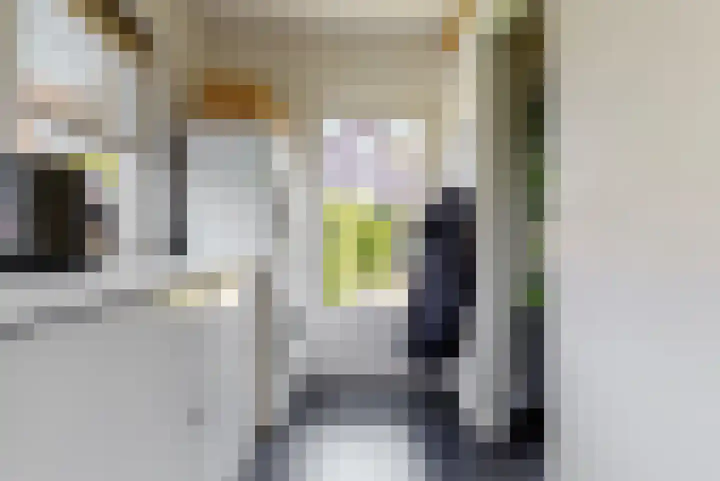 de Gouwe 6 Woerden thumbnail 17