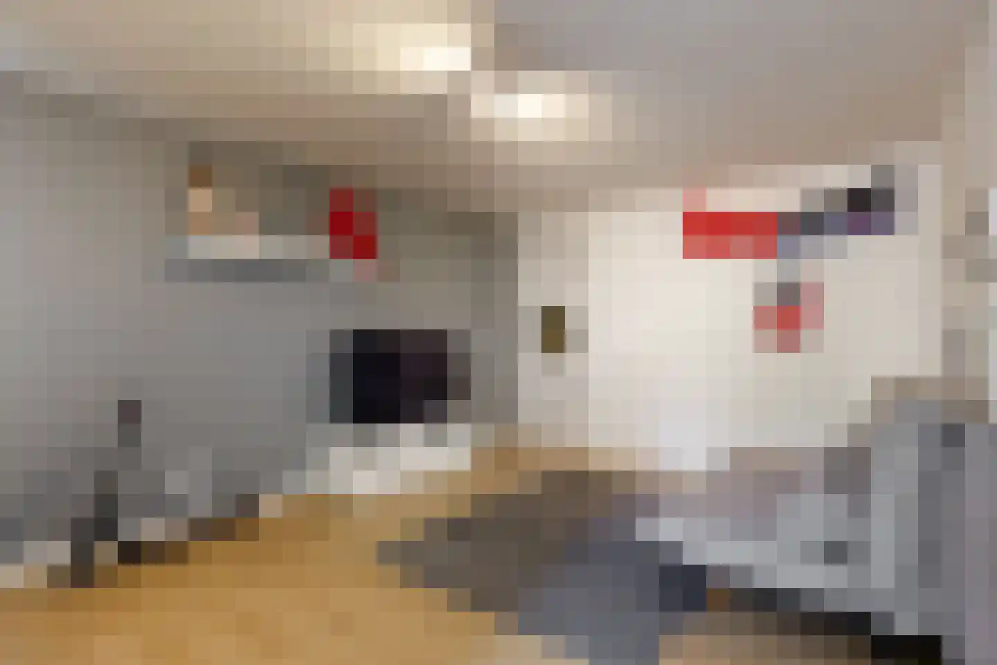 de Gouwe 6 Woerden thumbnail 18