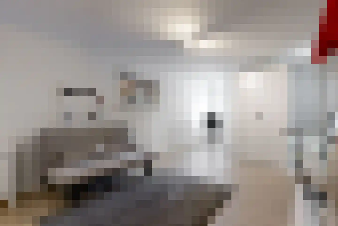 de Gouwe 6 Woerden thumbnail 19