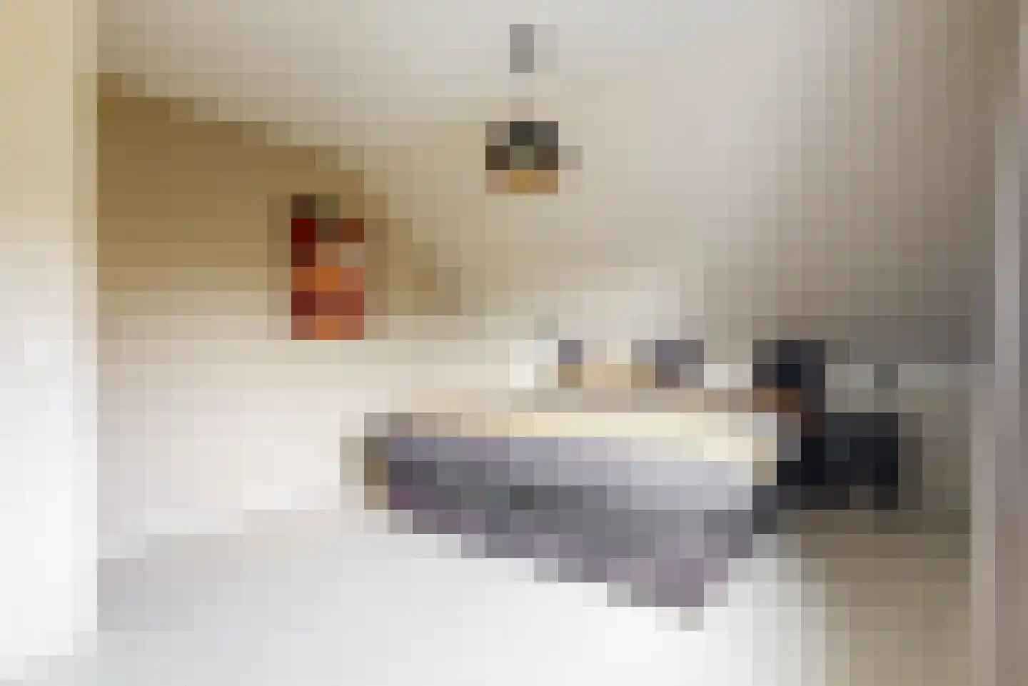 de Gouwe 6 Woerden thumbnail 20