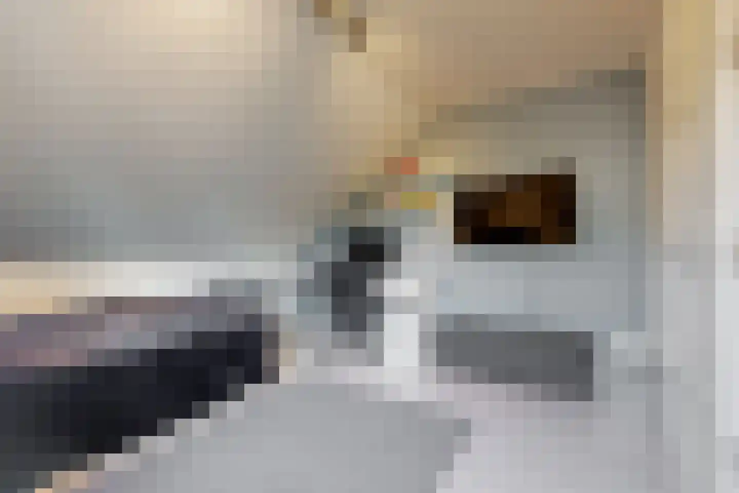 de Gouwe 6 Woerden thumbnail 25