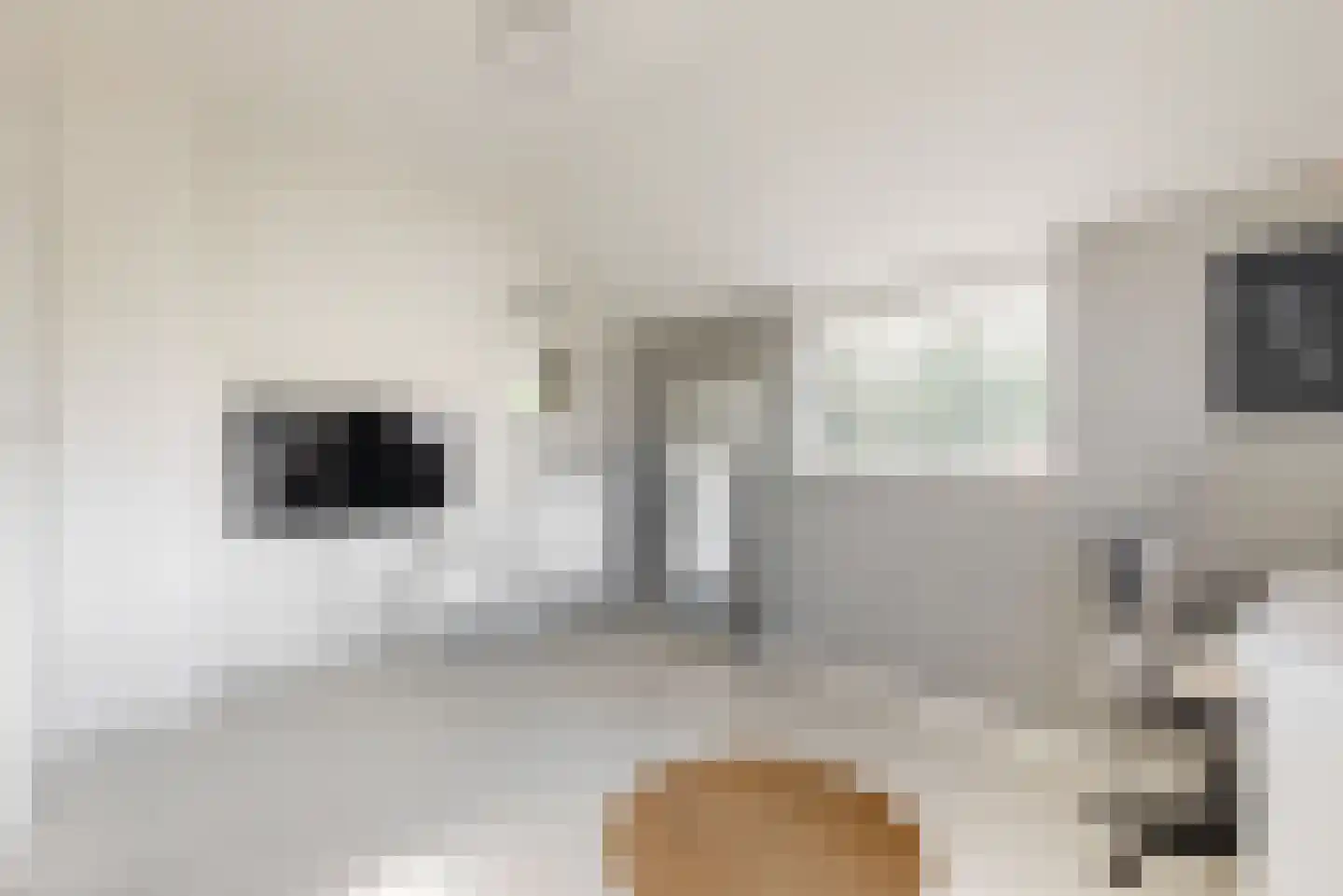 de Gouwe 6 Woerden thumbnail 27
