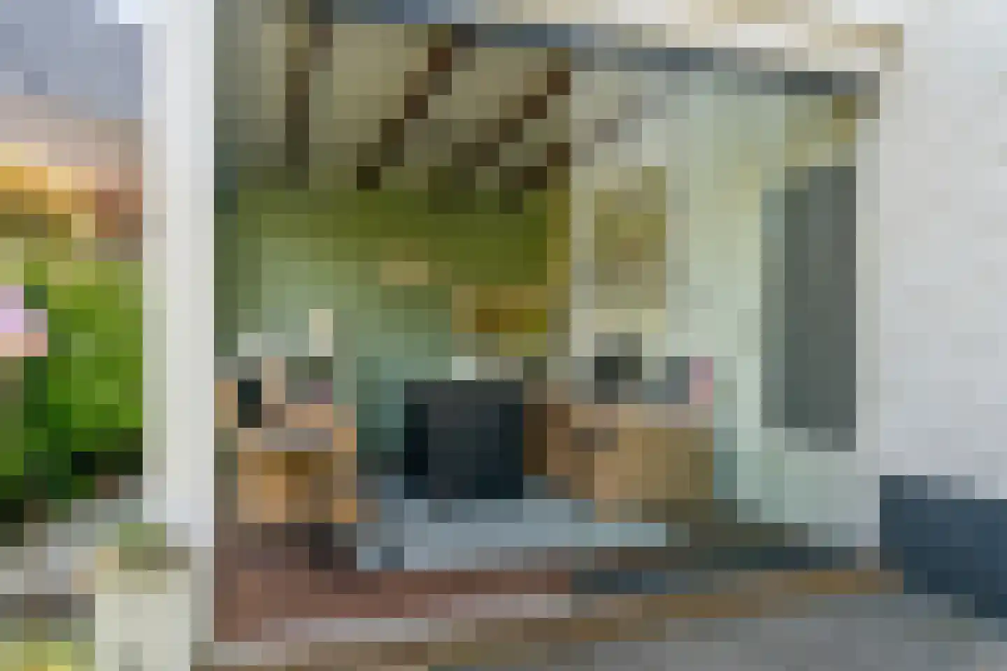 de Gouwe 6 Woerden thumbnail 34