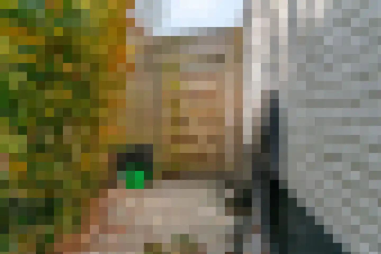 de Gouwe 6 Woerden thumbnail 40