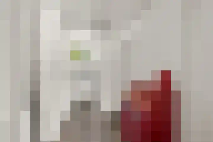 De Graafdreef 7 Amersfoort thumbnail 37