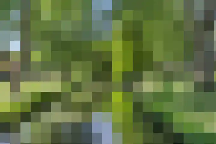 De Graafdreef 7 Amersfoort thumbnail 62