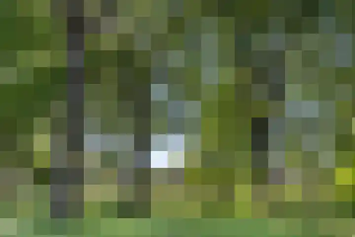 De Graafdreef 7 Amersfoort thumbnail 66