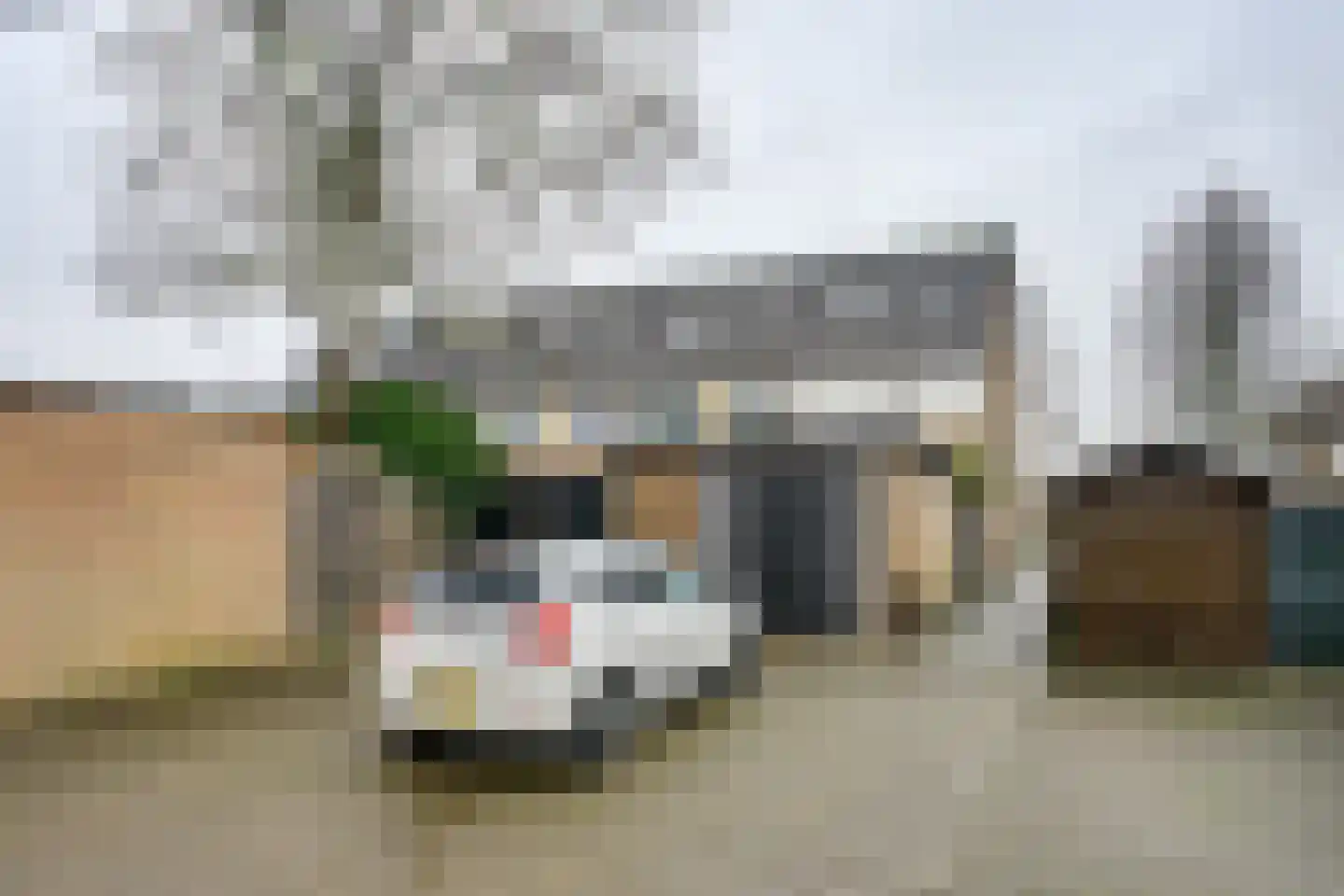 de Graaff 44 Werkendam thumbnail 28