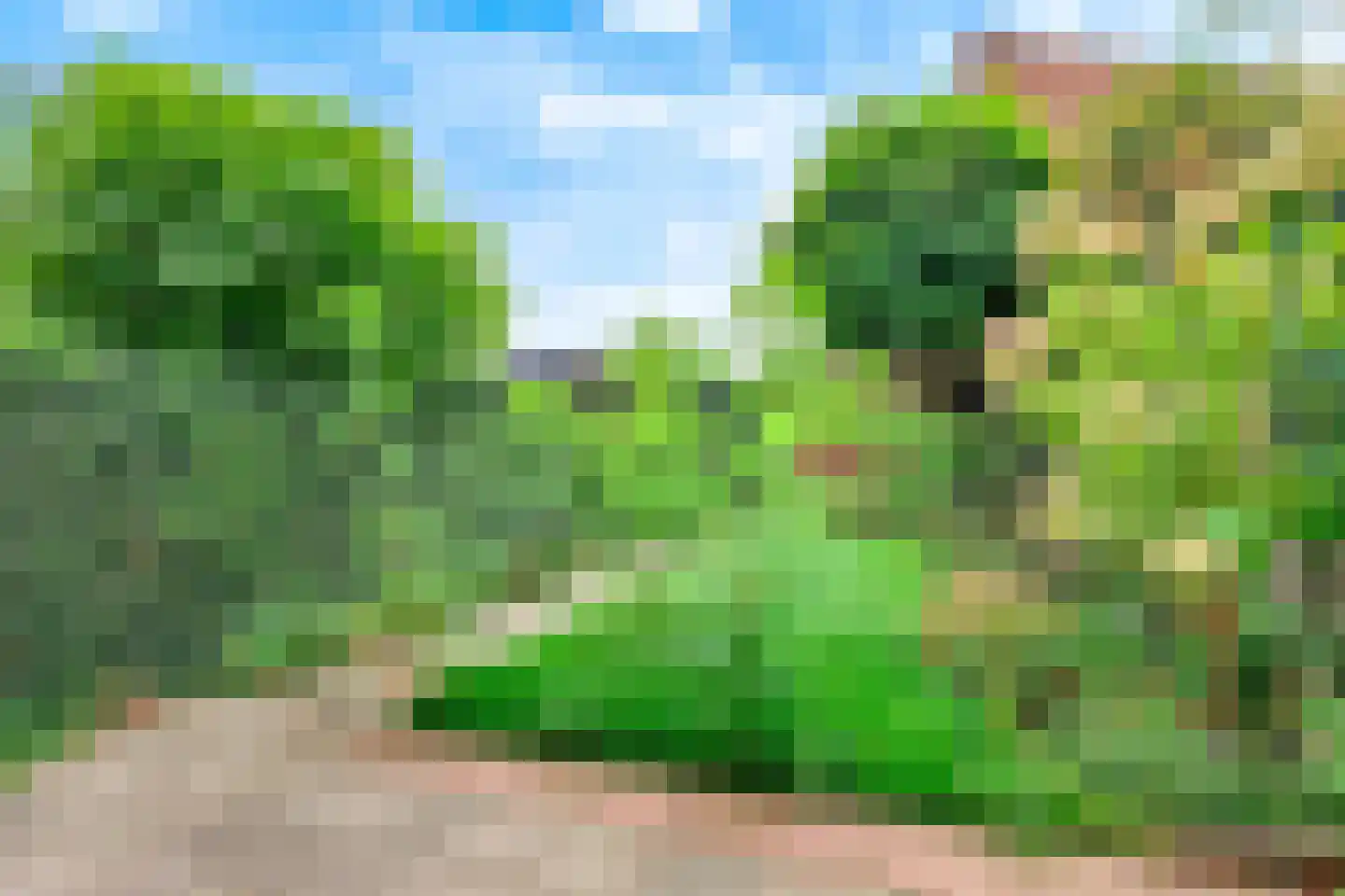 de Graaff 6 Werkendam thumbnail 27