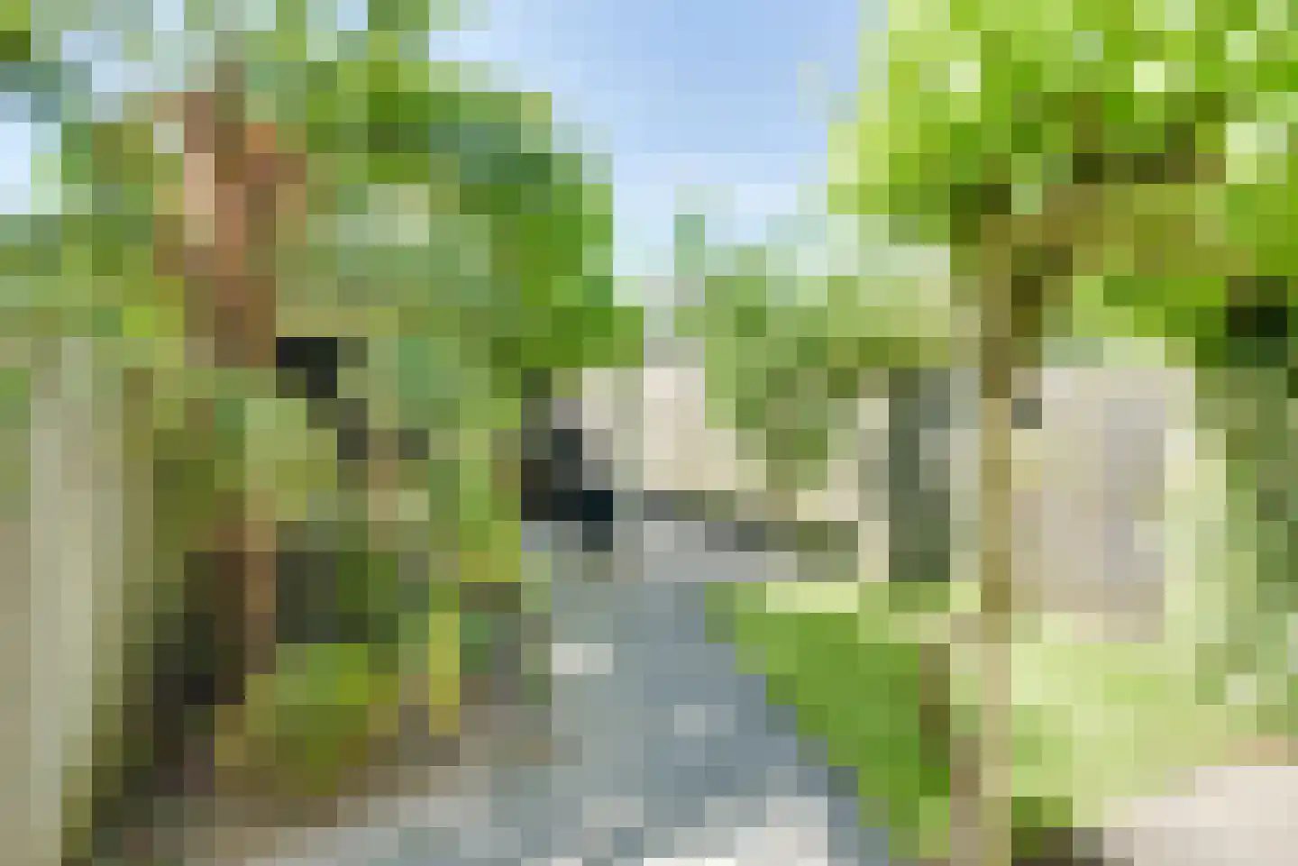 de Graaff 64 Werkendam thumbnail 11